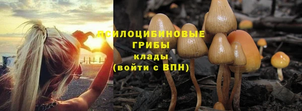 круглые Новозыбков
