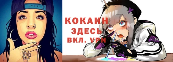 молекула духа Елизово
