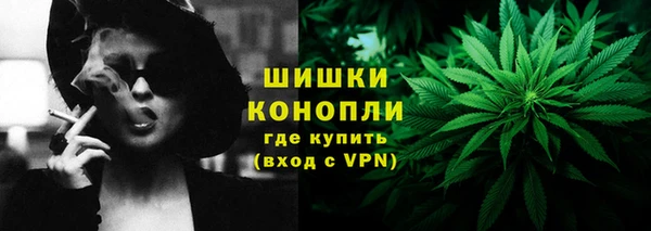 молекула духа Елизово