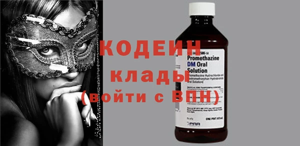 молекула духа Елизово