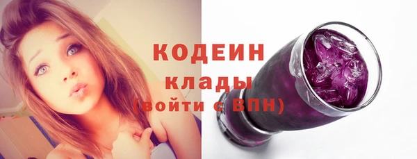 молекула духа Елизово